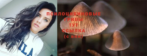 mix Верхний Тагил