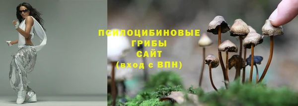 трава Верхнеуральск