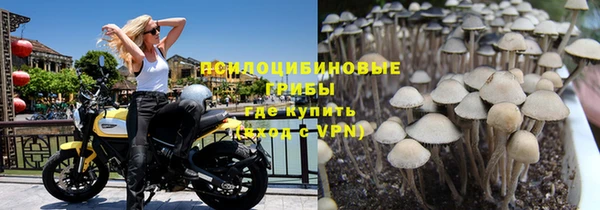 молекула духа Верея