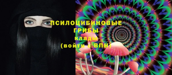 молекула духа Верея